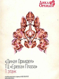 Промо акции Дикая Орхидея